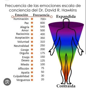 Lee más sobre el artículo 🍃Sistema inmunológico y emociones: cuando tu luz también se defiende desde dentro✨