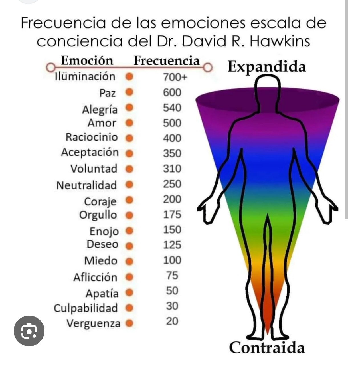 Lee más sobre el artículo 🍃Sistema inmunológico y emociones: cuando tu luz también se defiende desde dentro✨
